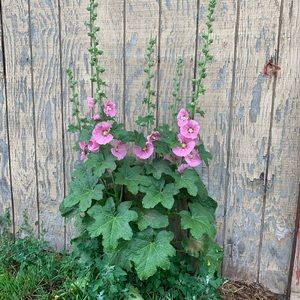 Meet your Posher, Kristin